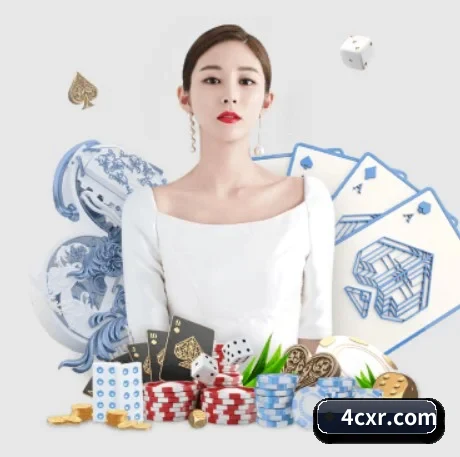 全流程赛事陪伴, 观赛有据可依