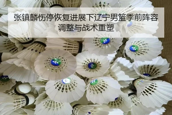张镇麟伤停恢复进展下辽宁男篮季前阵容调整与战术重塑